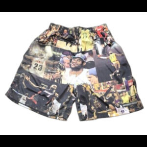 LaBron James #23 Different Breed Basket ball Shorts Pockets Cav's LOS ANGELES